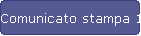 Comunicato stampa 1